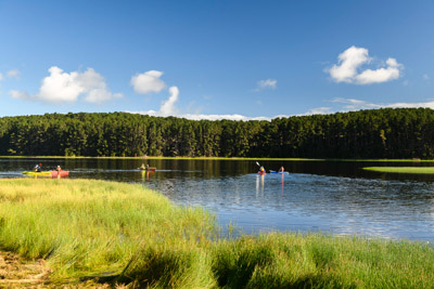 MYPONGA_210328_85N8462