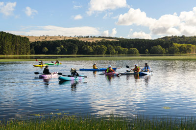 MYPONGA_210328_85N8469