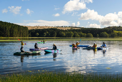 MYPONGA_210328_85N8471