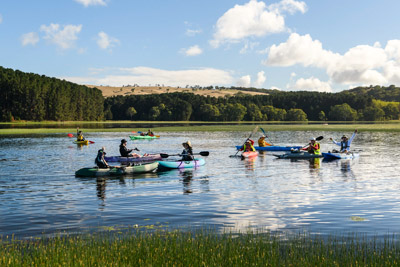 MYPONGA_210328_85N8474