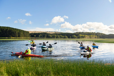 MYPONGA_210328_85N8480