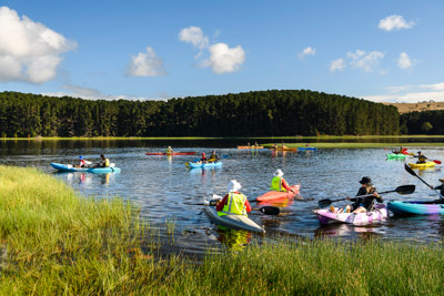 MYPONGA_210328_85N8498