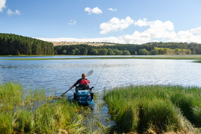 MYPONGA_210328_85N8617