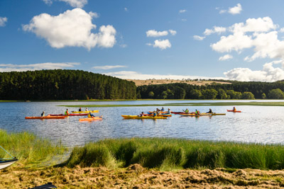 MYPONGA_210328_85N8638