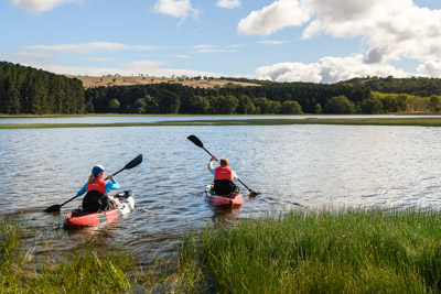 MYPONGA_210328_85N8671