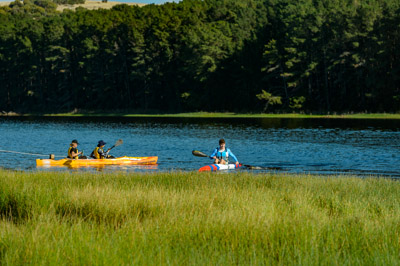 MYPONGA_210328_D4P4987