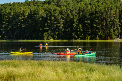 MYPONGA_210328_D4P5029