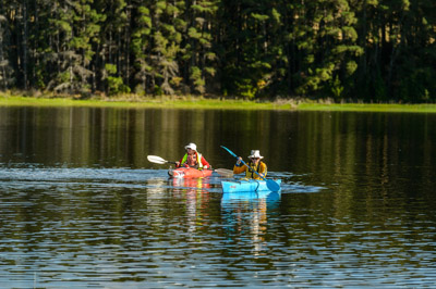 MYPONGA_210328_D4P5032