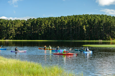 MYPONGA_210328_D4P5044