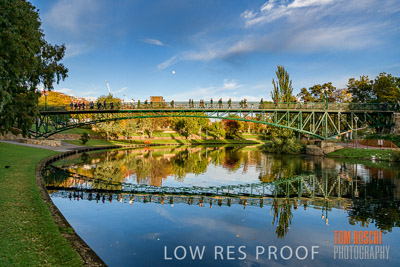 WALK_FOR_JUSTICE_2019_163