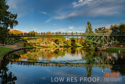 WALK_FOR_JUSTICE_2019_166