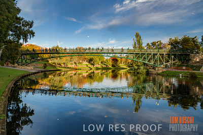 WALK_FOR_JUSTICE_2019_167