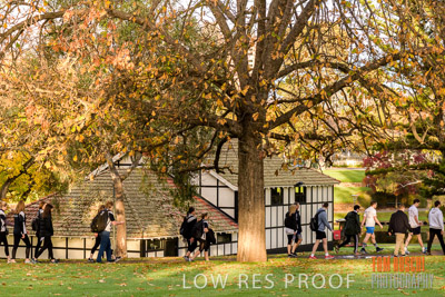 WALK_FOR_JUSTICE_2019_180