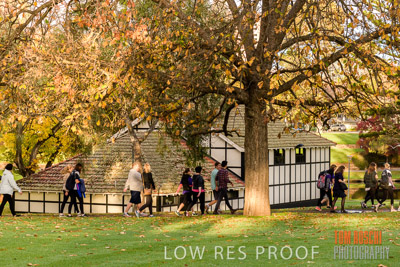 WALK_FOR_JUSTICE_2019_181