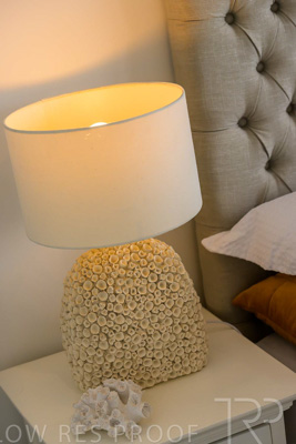 February 2024 / Apt-403_240205_Z9C3480