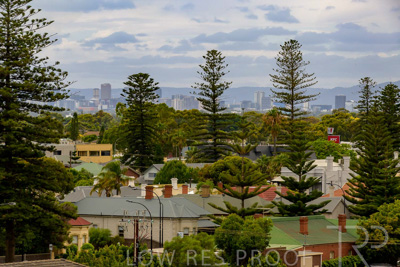 February 2024 / Apt-403_240205_Z9C3501