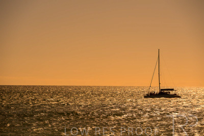 February 2024 / Lifestyle-240207-_Z8C9130