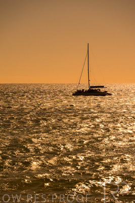 February 2024 / Lifestyle-240207-_Z8C9133