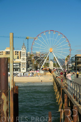 February 2024 / Lifestyle-240207-_Z8C9150