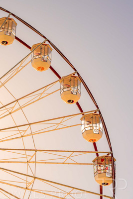 February 2024 / Lifestyle-240207-_Z8C9174