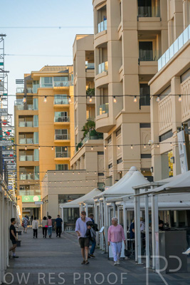 February 2024 / Lifestyle-240207-_Z8C9223