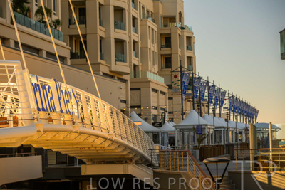 February 2024 / Lifestyle-240207-_Z8C9227