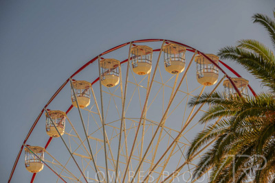 February 2024 / Lifestyle-240207-_Z8C9241