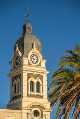 February 2024 / Lifestyle-240207-_Z8C9277