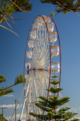 February 2024 / Lifestyle-240207-_Z8C9289