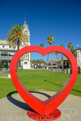 February 2024 / Lifestyle-240207-_Z9C4735