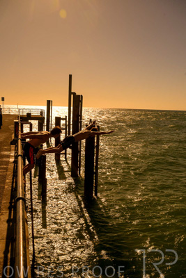 February 2024 / Lifestyle-240207-_Z9C4758