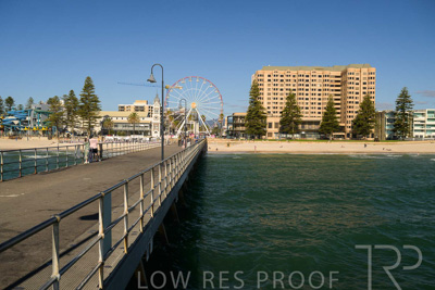 February 2024 / Lifestyle-240207-_Z9C4773