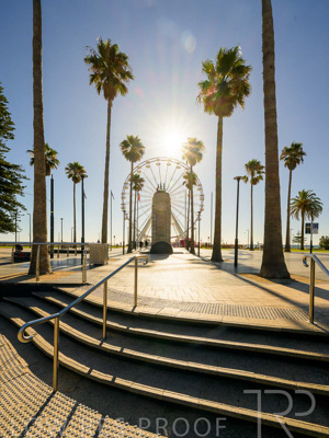 February 2024 / Lifestyle-240207-_Z9C4818