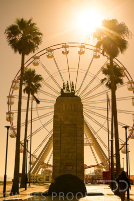 February 2024 / Lifestyle-240207-_Z9C4833