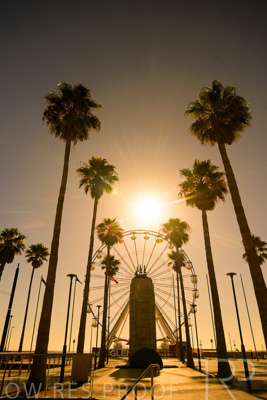 February 2024 / Lifestyle-240207-_Z9C4839