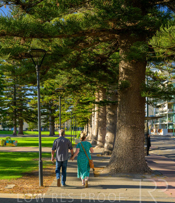 February 2024 / Lifestyle-240207-_Z9C4863