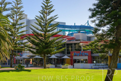 February 2024 / Lifestyle-240207-_Z9C4872