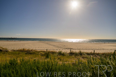 February 2024 / Lifestyle-240207-_Z9C4881