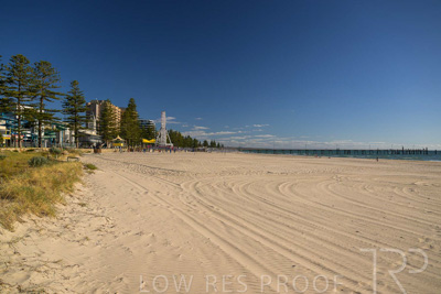 February 2024 / Lifestyle-240207-_Z9C4887