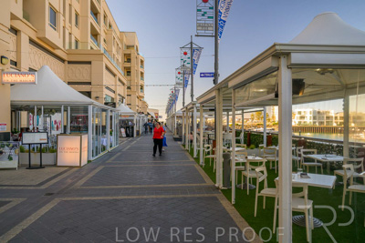 February 2024 / Lifestyle-240207-_Z9C4935