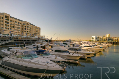 February 2024 / Lifestyle-240207-_Z9C4944