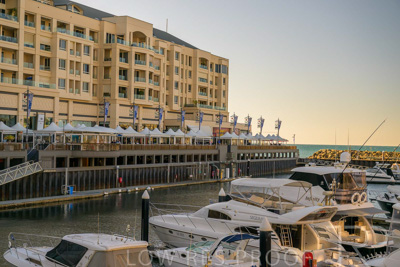 February 2024 / Lifestyle-240207-_Z9C4950