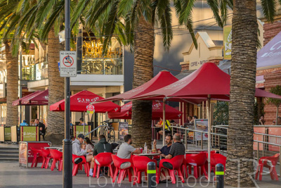 February 2024 / Lifestyle-240211-_Z8E0516