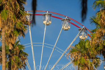 February 2024 / Lifestyle-240211-_Z8E0522