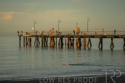 February 2024 / Lifestyle-240211-_Z8E0713