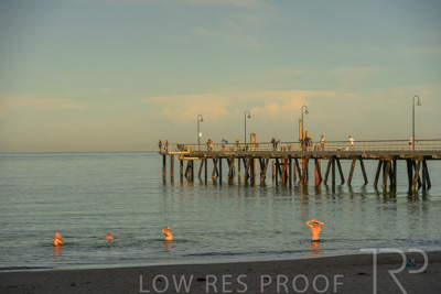 February 2024 / Lifestyle-240211-_Z8E0749