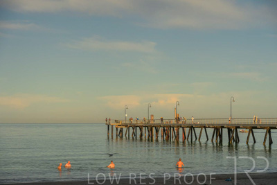 February 2024 / Lifestyle-240211-_Z8E0752