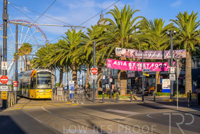 February 2024 / Lifestyle-240211-_Z9E6202