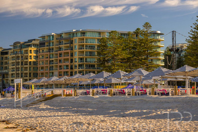 February 2024 / Lifestyle-240211-_Z9E6464