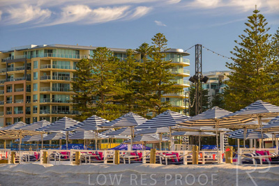 February 2024 / Lifestyle-240211-_Z9E6476